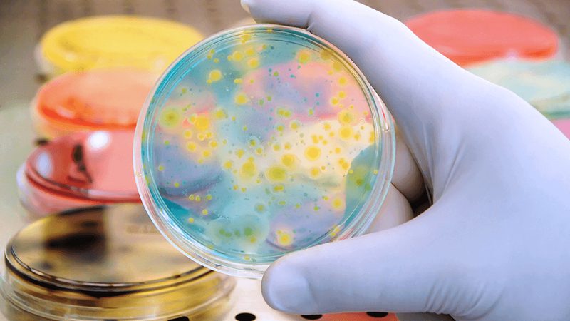 生物科技公司批发价格，包装是否包含在内？揭秘真相**