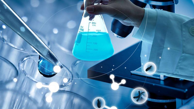 DNA聚合酶型号解析：揭秘基因编辑的“精准利器