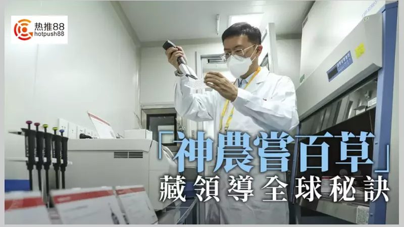 定制CRO优化方案：医药研发的精准导航
