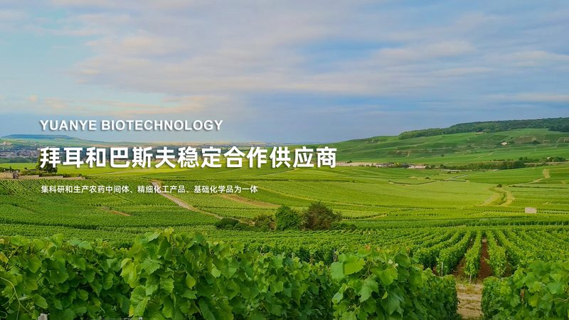 生物医药外包团队驻厂标准：如何确保研发质量与合规性**
