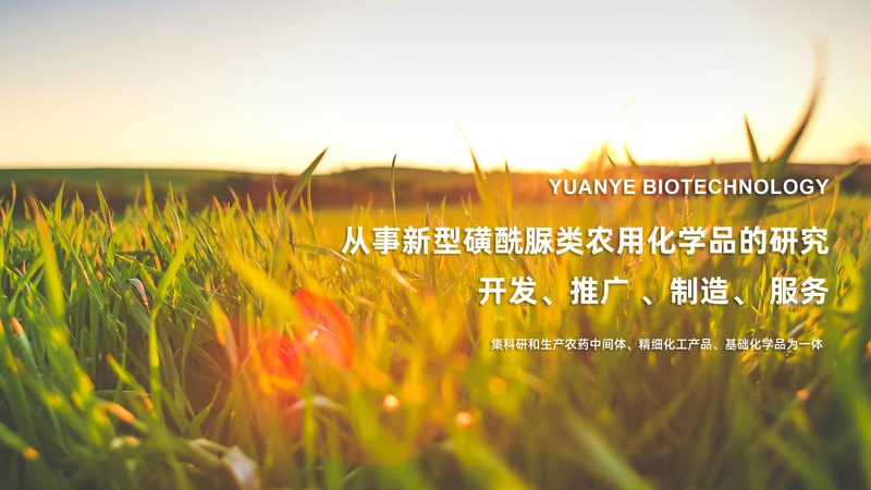 CRO实验设计规范标准：构建高质量生物实验的基石