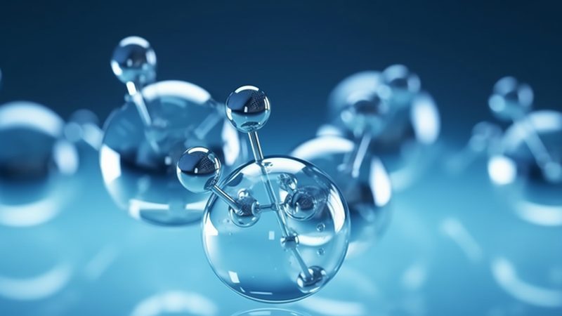 成都分子生物学试剂：揭秘其背后的技术与应用