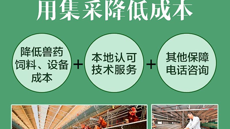 CDMO技术平台：揭秘其核心价值与选择要点