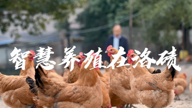 生物制品生产规范：解码合规之路**