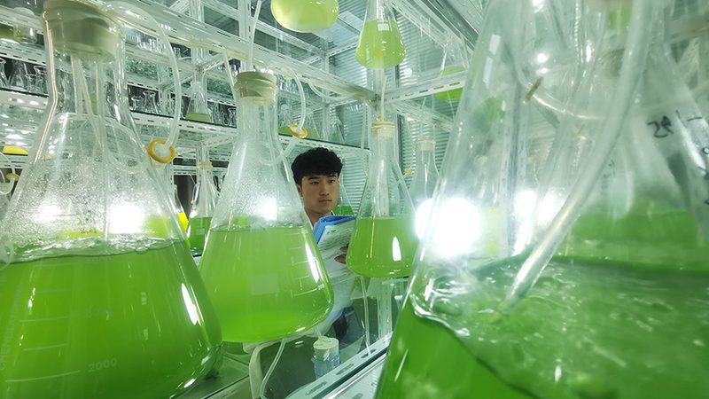 细胞培养瓶材质耐高温，哪些标准是关键？**